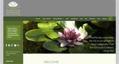 Desktop Screenshot of carolynheppnercounselling.com